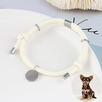犬用チョーカー＆リードmacoです 犬用チョーカー＆リードmacoです 楽天市場】迷子札 チョーカー